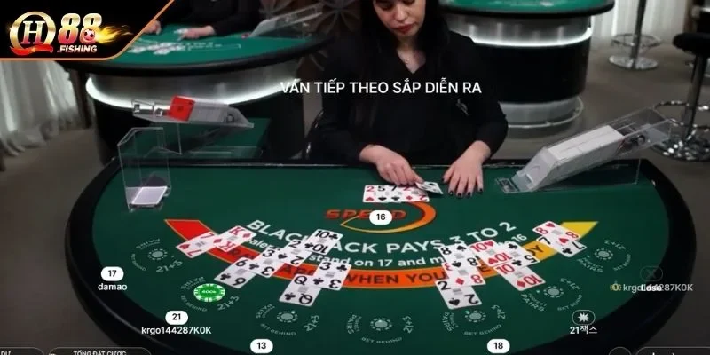 Luật chơi Blackjack online cơ bản dành cho tân thủ