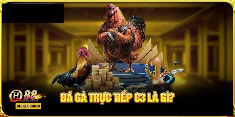Đá Gà Thomo - Cách xác định kết quả Đá Gà Thomo - Cách xác định kết quả